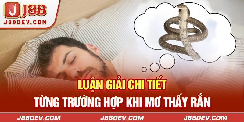 Luận giải chi tiết từng trường hợp khi mơ thấy rắn